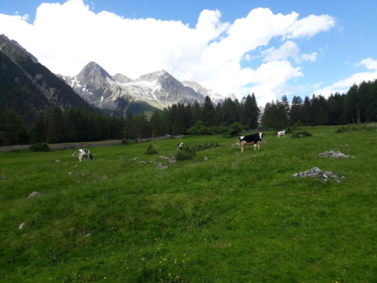 Unterreinischhof Villa Antholz-Mittertal Exteriör bild